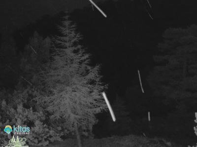 ΒΙΝΤΕΟ: Έπεσαν οι πρώτες νιφάδες χιονιού στο Τρόοδος