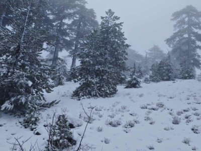 ΕΙΚΟΝΕΣ / ΒΙΝΤΕΟ: Λευκό μαγικό τοπίο επιτέλους το Τρόοδος! Στα πόσα εκατοστά έφτασε το χιόνι – Συνεχίζει να στοιβάζει