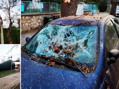Κομμένα δέντρα, σπασμένες κολώνες, ζημιές σε αυτοκίνητα από την κακοκαιρία στην Ελλάδα (εικόνες & βίντεο)