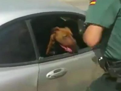 Συγκινητικό βίντεο: Η στιγμή που αστυνομικοί σώζουν σκύλο από κλειστό αυτοκίνητο στον ήλιο